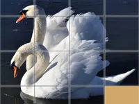 https://playallgames.online/game/animals-slide-puzzle