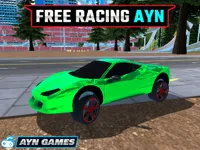 https://playallgames.online/game/free-racing-ayn