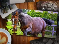 https://playallgames.online/game/jigsaw-puzzle-horses-edition