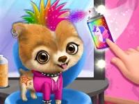 https://playallgames.online/game/rock-star-animal-hair-salon