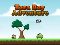 https://playallgames.online/game/tora-boy-adventure