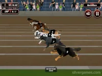 https://playallgames.online/game/crazy-dog-racing-simulator-games-3d
