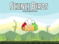 https://playallgames.online/game/science-birds