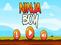 https://playallgames.online/game/ninja-boy