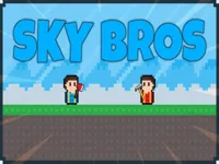 https://playallgames.online/game/sky-bros