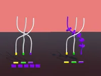 https://playallgames.online/game/twisted-rods