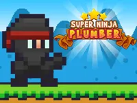 https://playallgames.online/game/super-ninja-plumber