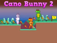 https://playallgames.online/game/cano-bunny-2