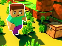 https://playallgames.online/game/craft-runner-mine-rush