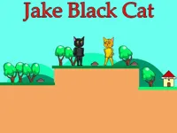 https://playallgames.online/game/jake-black-cat