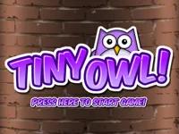 https://playallgames.online/game/tiny-owl