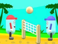 https://playallgames.online/game/beach-volleyball