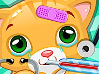 https://playallgames.online/game/doctor-pets