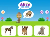 https://playallgames.online/game/world-of-alice-baby-animal