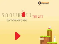 https://playallgames.online/game/snowball-the-cat-catch-and-go