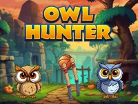 https://playallgames.online/game/owl-hunter