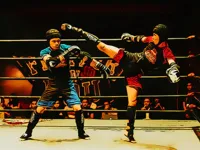 https://playallgames.online/game/fighters-in-the-ring