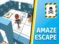 https://playallgames.online/game/amaze-escape