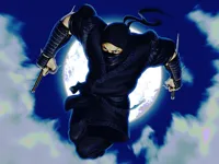 https://playallgames.online/game/ninja-defender