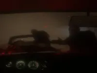 https://playallgames.online/game/spooky-jungle-safari