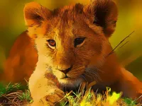https://playallgames.online/game/wild-baby-animals-jigsaw