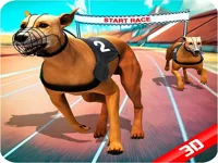 https://playallgames.online/game/crazy-dog-race