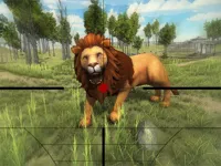 https://playallgames.online/game/lion-hunting-3d