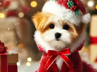 https://playallgames.online/game/cute-animals-jigsaw-adorable-puppies-and-kittens