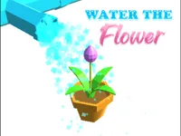 https://playallgames.online/game/water-the-flower