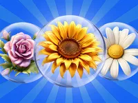 https://playallgames.online/game/dice-puzzle-flowers