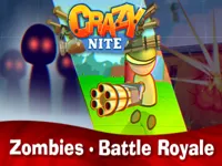 https://playallgames.online/game/crazynite-io