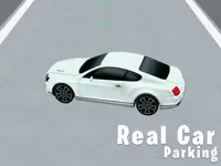 https://playallgames.online/game/real-car-parking-3d